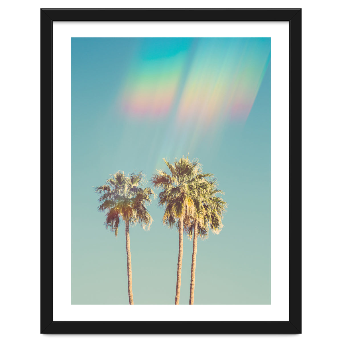 Groovy California Palm Trees