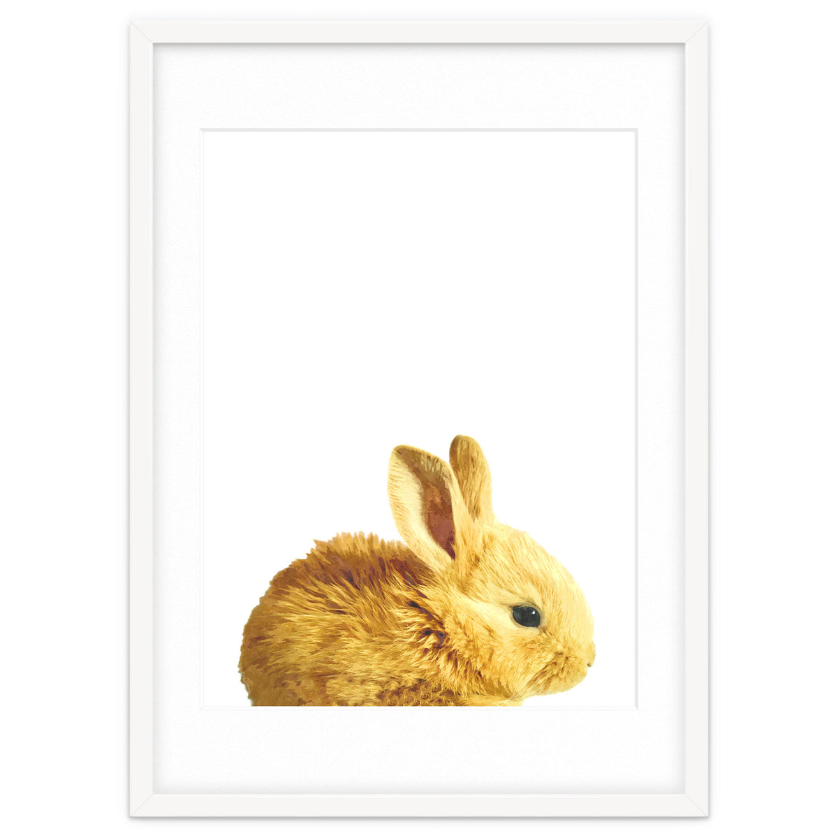 Bunny Portrait