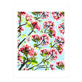 Frangipani (Print Only) thumbnail