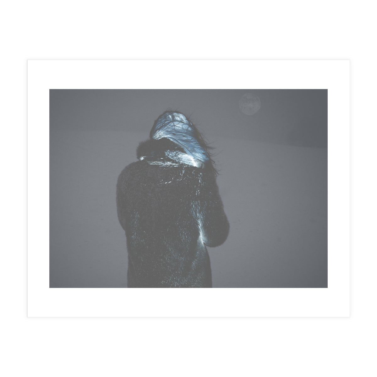 Metamorphosis (Print Only)