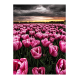Spring Palette (Print Only) thumbnail