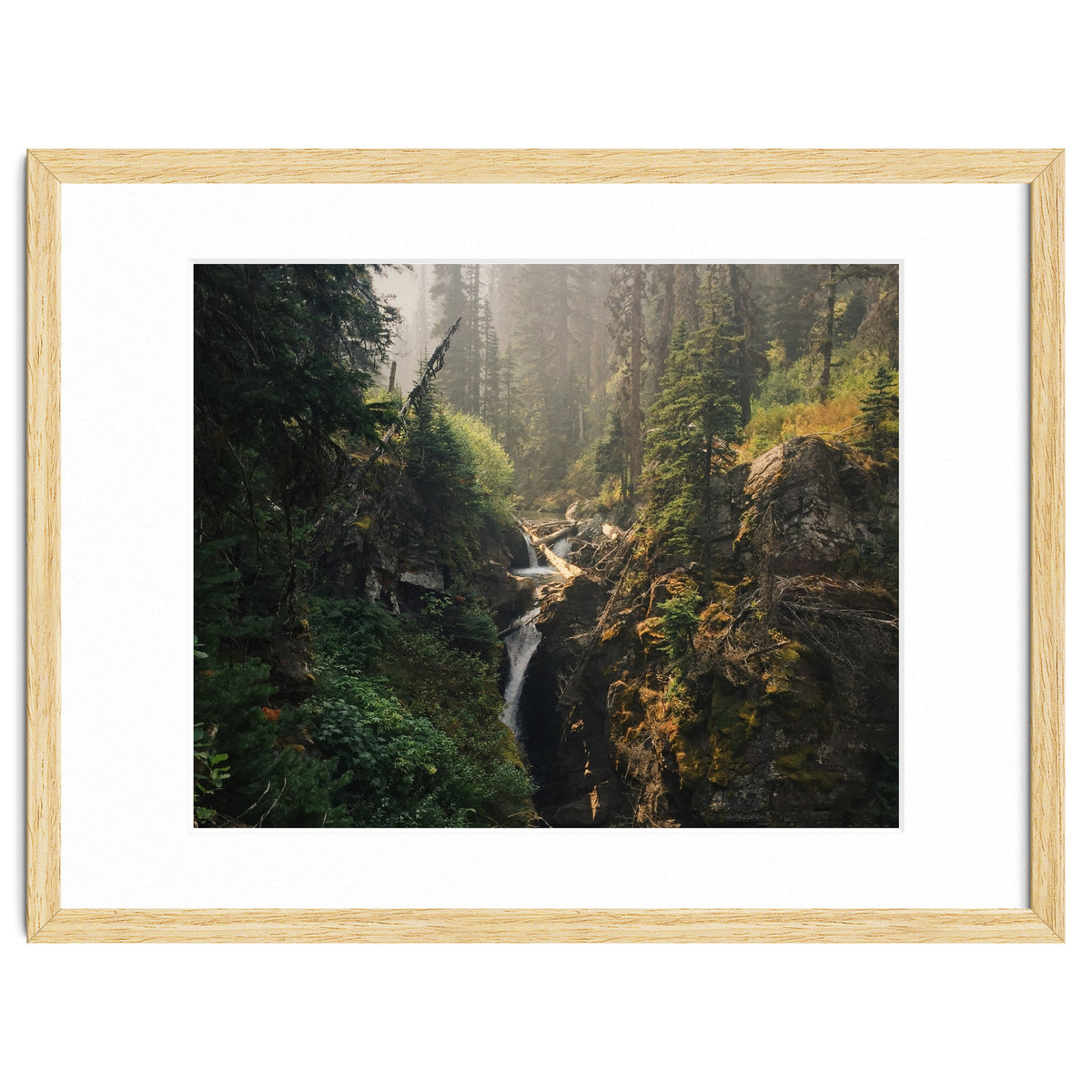 Glacier National Park I