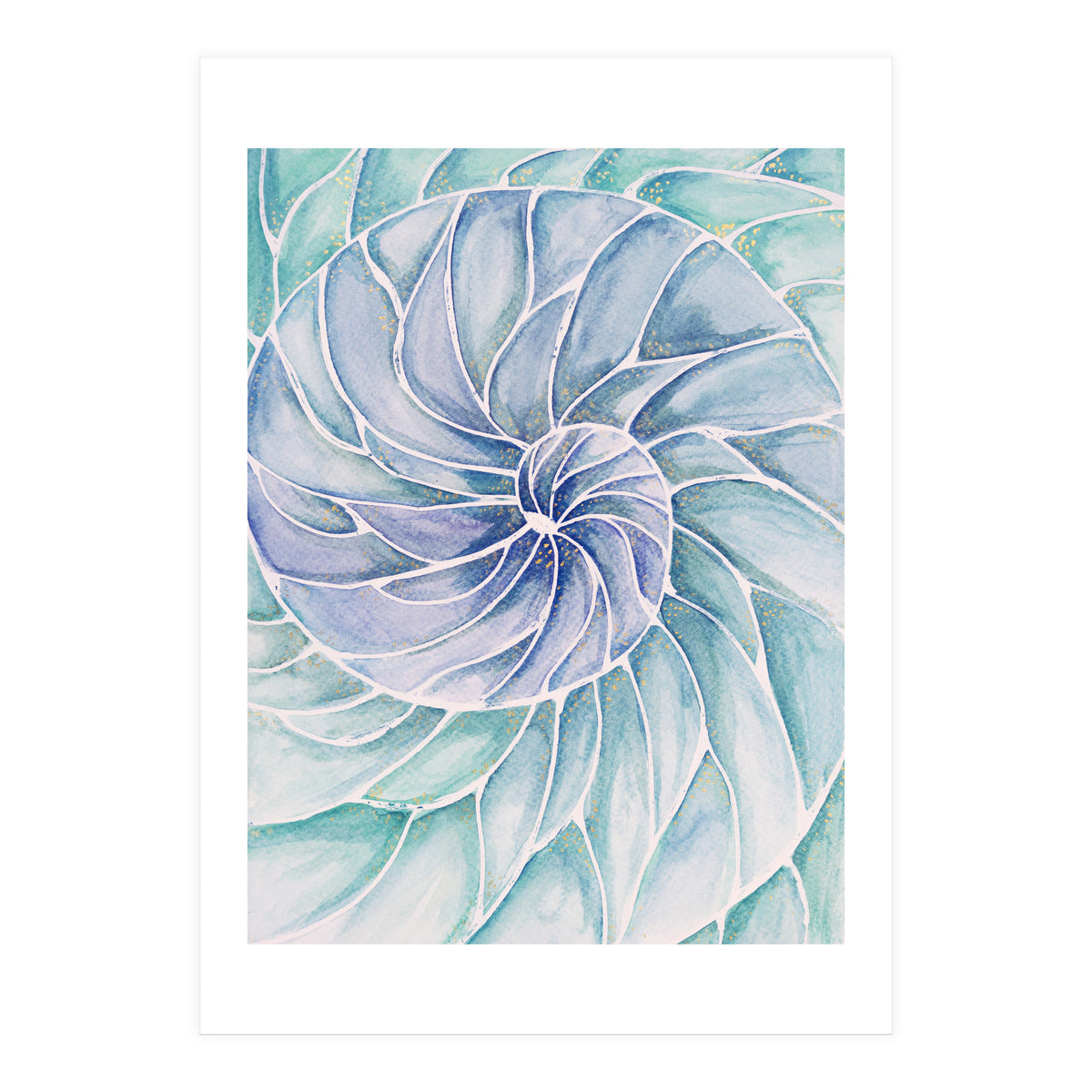 The inside of a shell (Print Only)