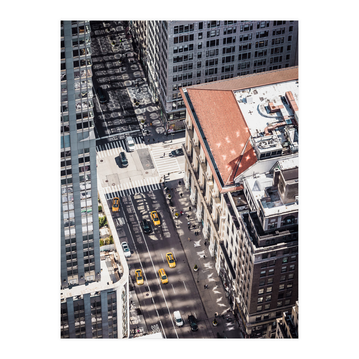 Asphalt (Print Only)