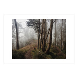 Mt. Davidson I (Print Only) thumbnail