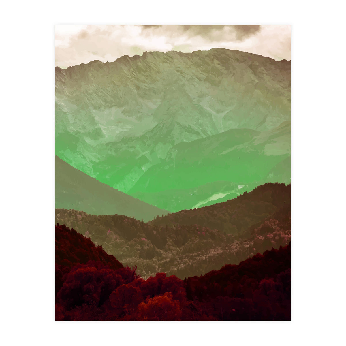 Philosophy & Purpose (Print Only)