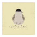 Blackcap 2 (Print Only) thumbnail