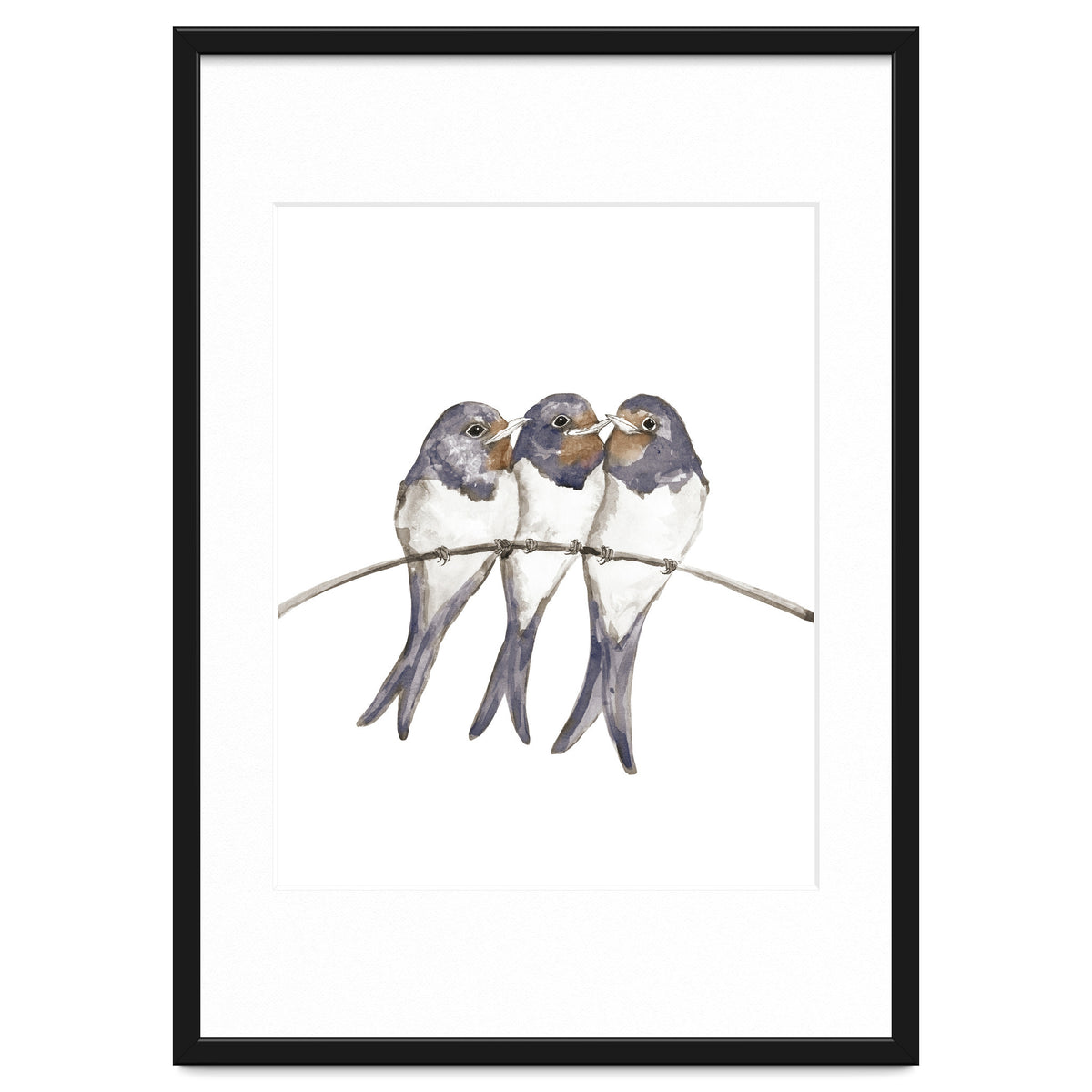 Three young swallows