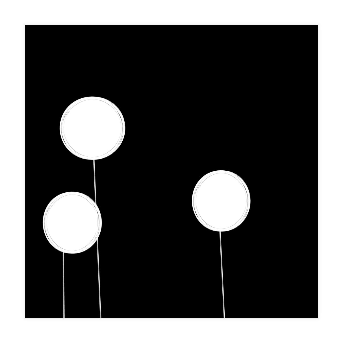 Dandelions (Print Only)