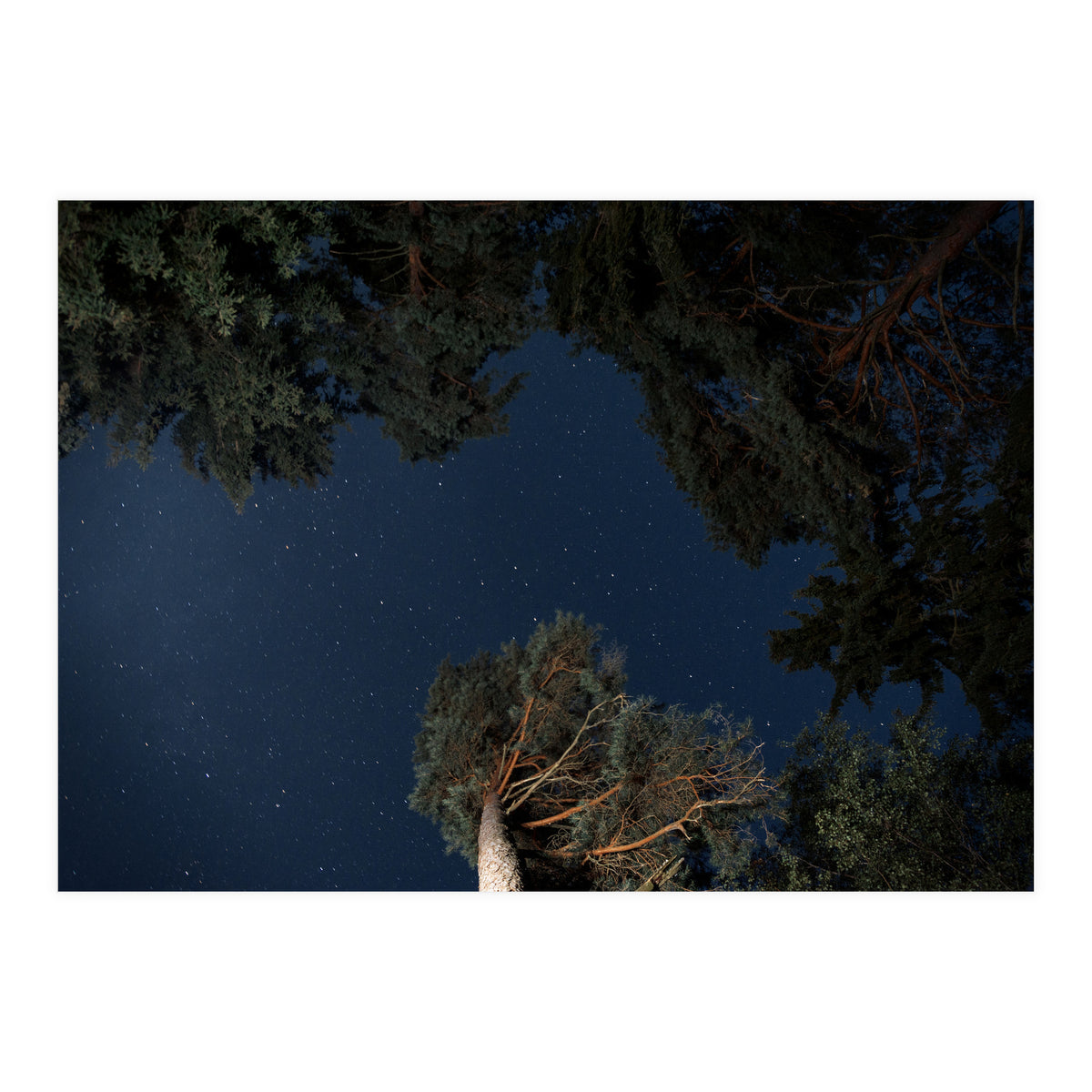 Sputnik Turntables (Print Only)