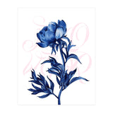 rosa blu (Print Only) thumbnail