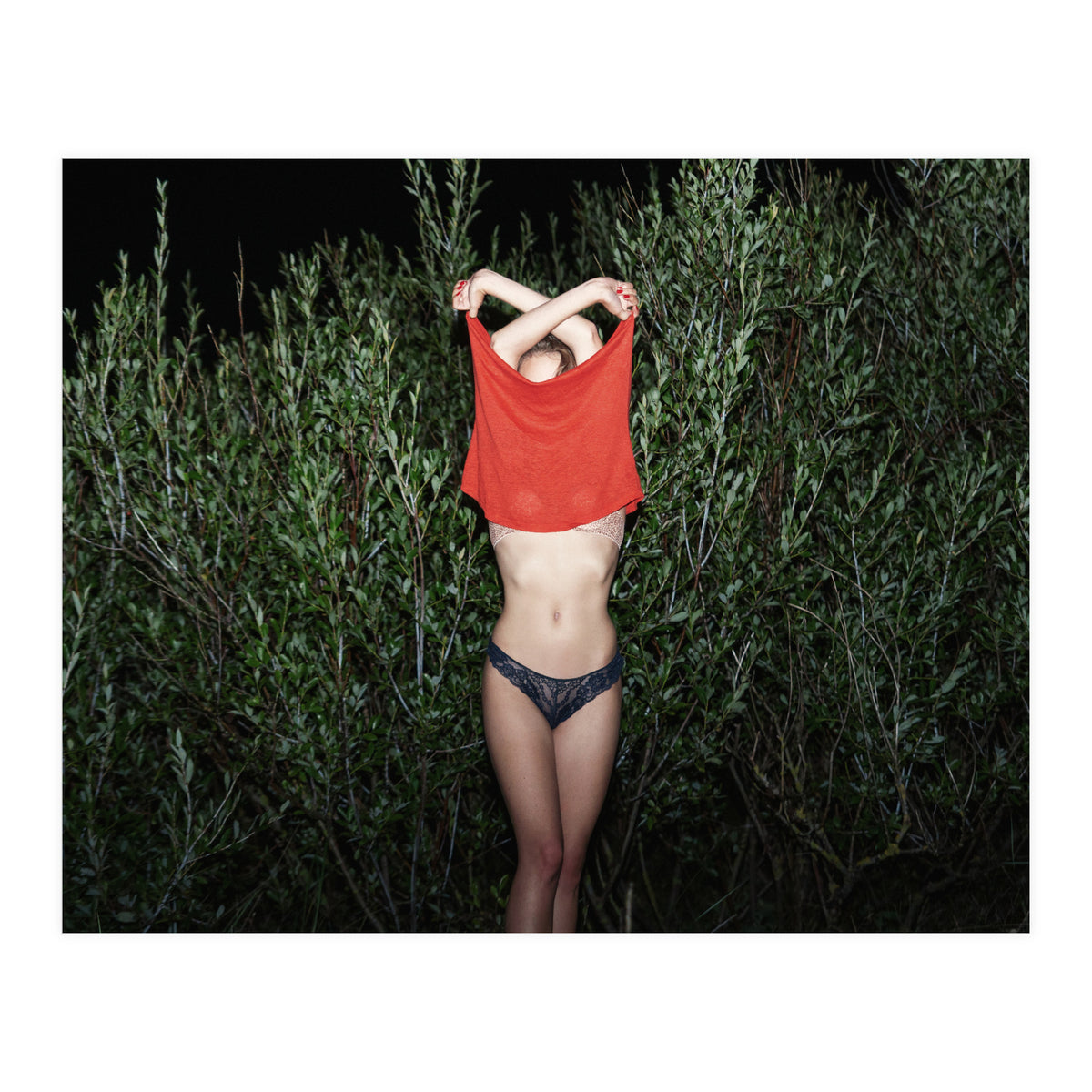 Pomegranate (Print Only)