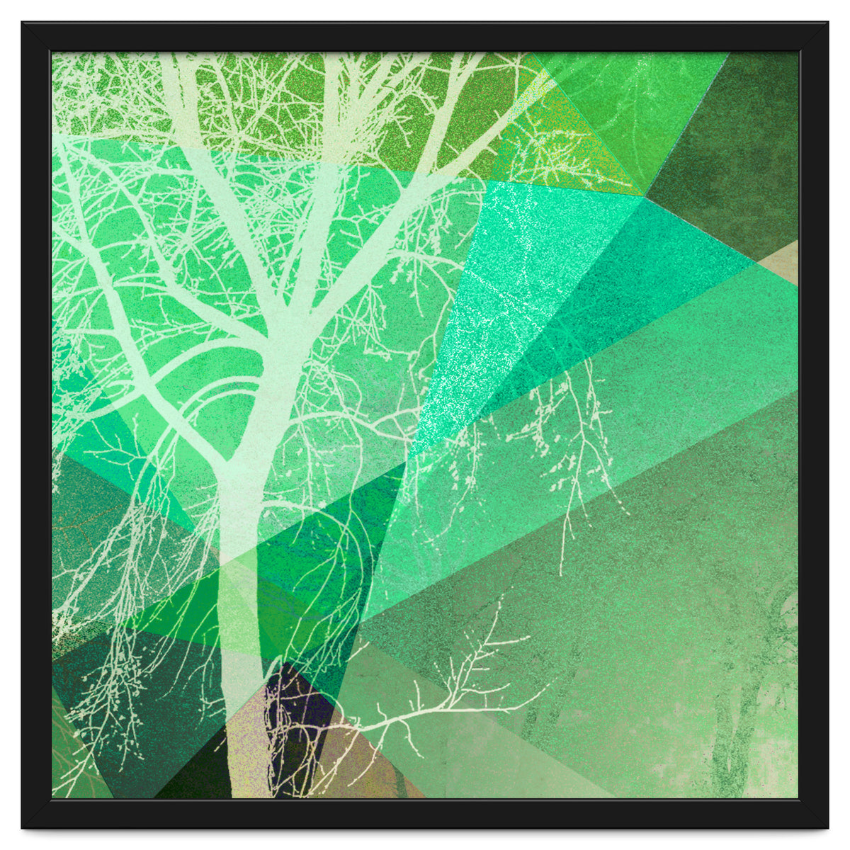 P22-B3 Trees And Triangles