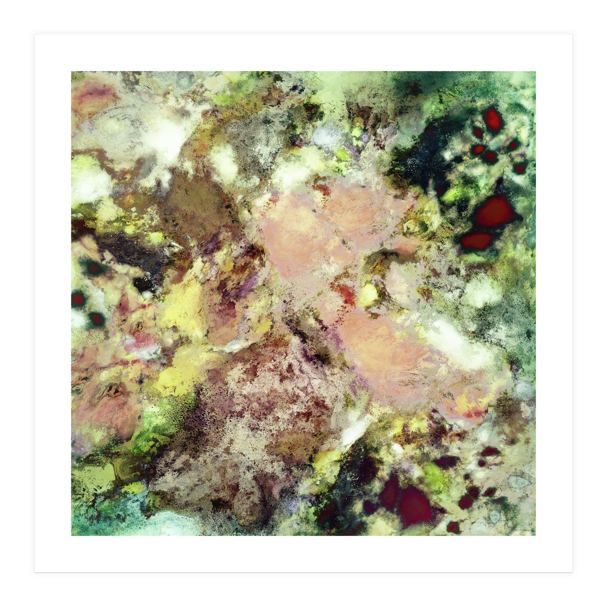 Sugar Coated (Print Only)