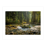 Cascade River (Print Only) thumbnail