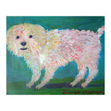 Caniche Blanco De Diego Manuel Rodriguez (Print Only) thumbnail
