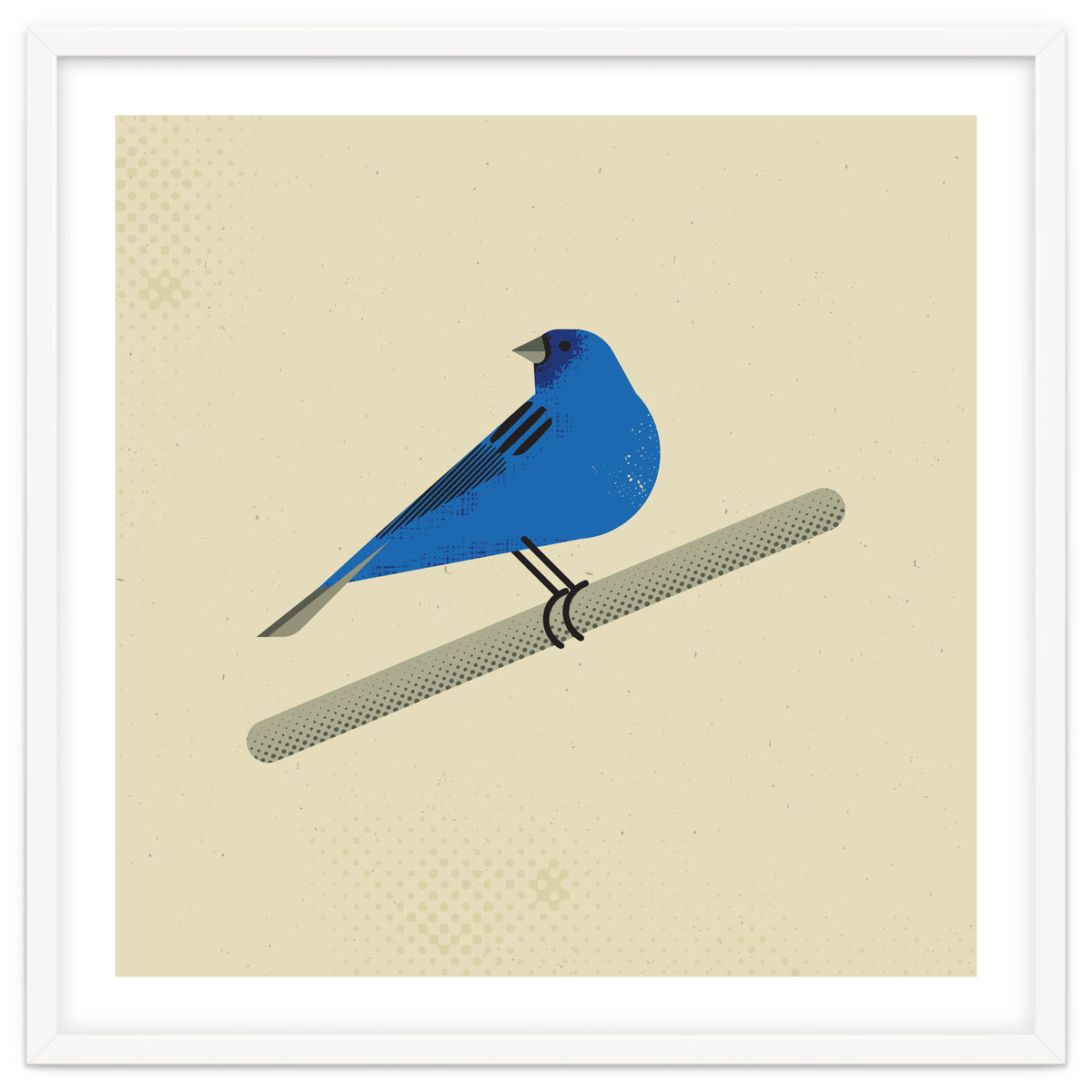 Indigo Bunting