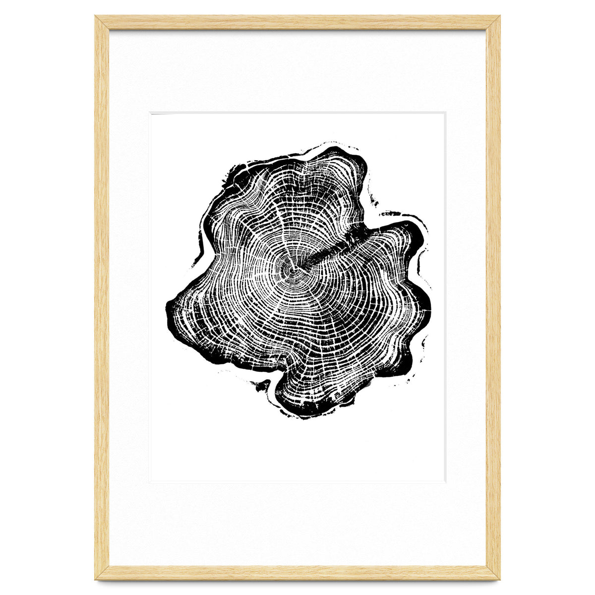 Alaskan Cypress, Tree Ring Art Print, Woodblock
