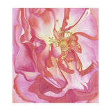 Love Is A Rose (Print Only) thumbnail
