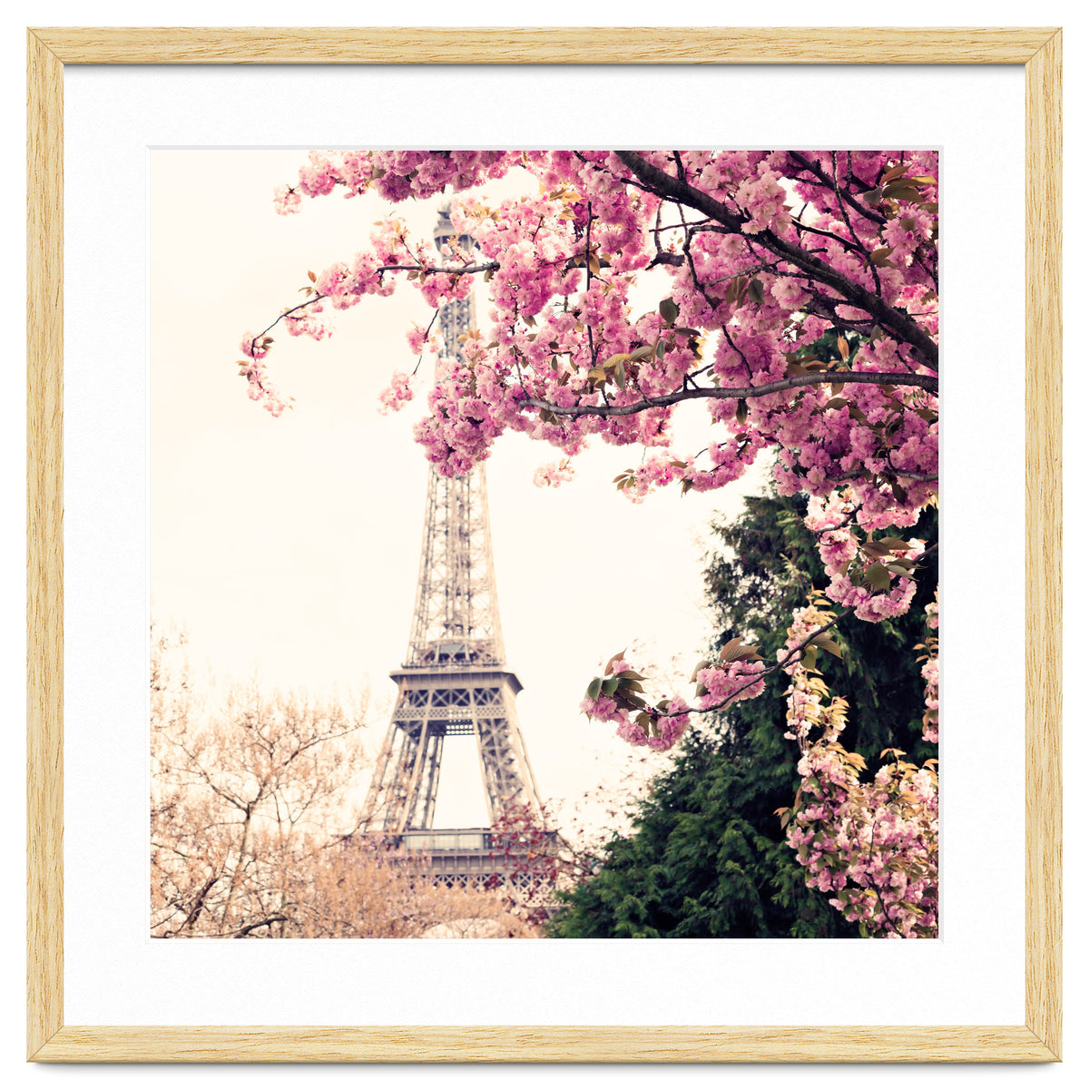 Paris in the Spring