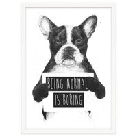Being Normal Is Boring