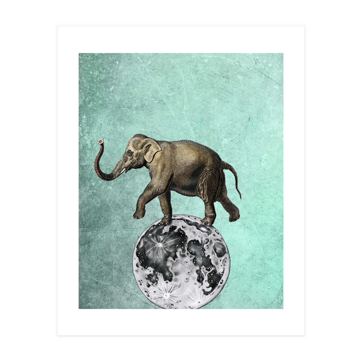 elefante sul modo (Print Only)