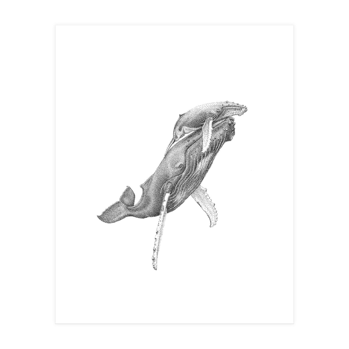 Humpacks no. 3 (Print Only)