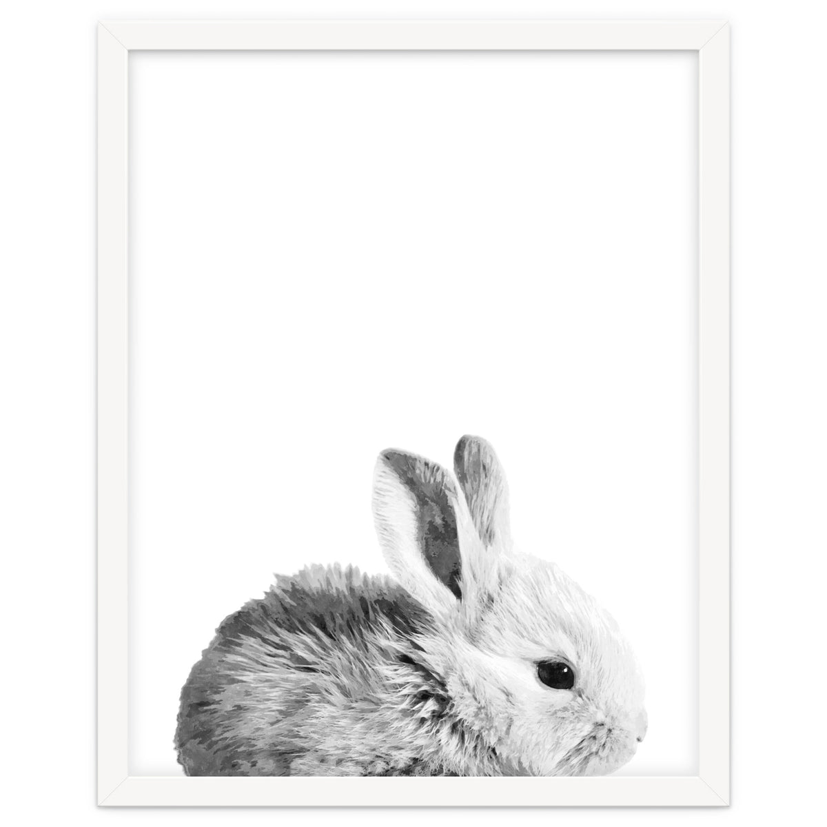 Black and White Bunny Portrait