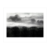 Winter mornig in Paris (Print Only) thumbnail