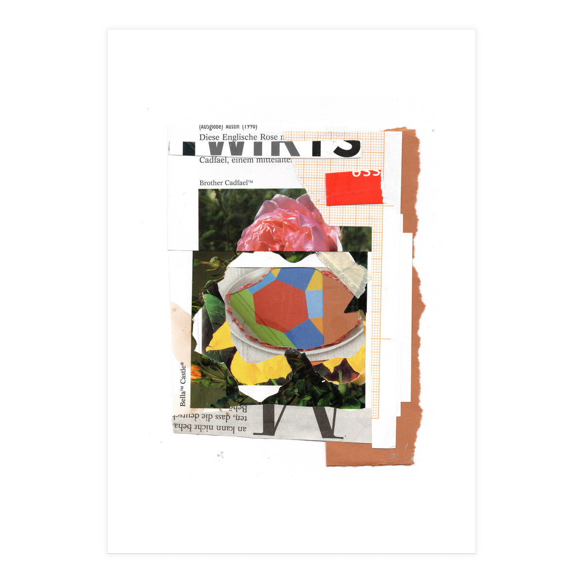 Abstract 1505 (Print Only)