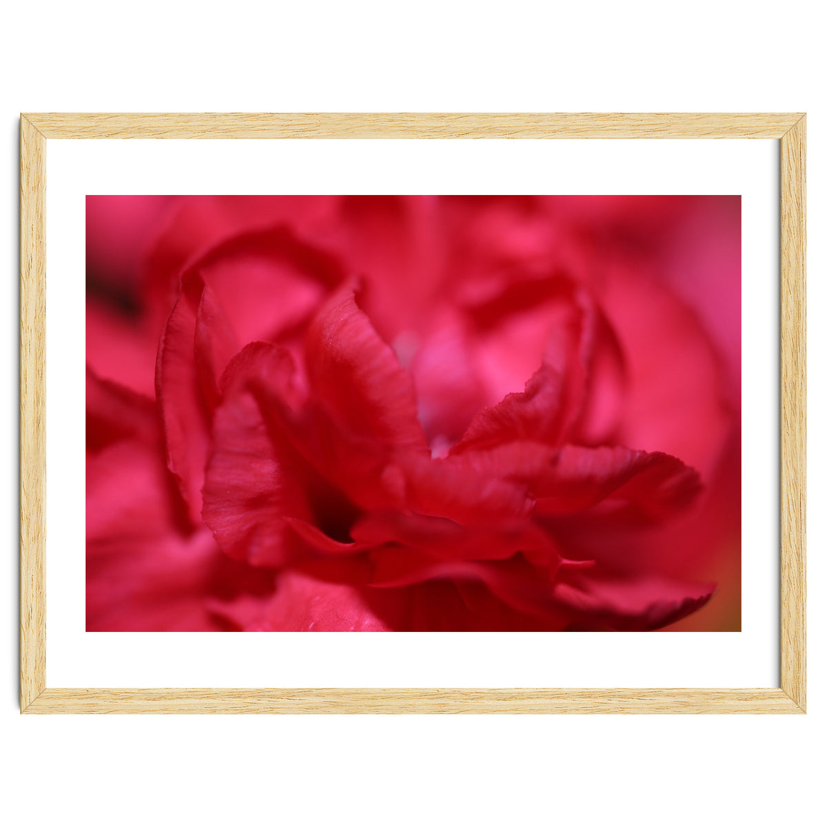 Red Peony