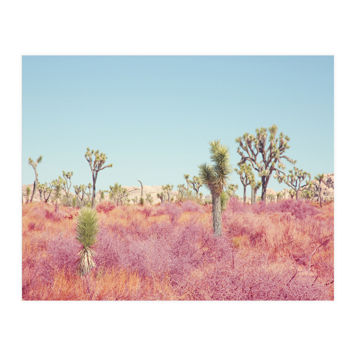 Surreal Desert (Print Only)