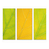 Autumn Leaves (Print Only) thumbnail