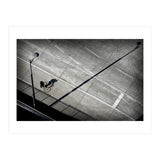 Cyclist (Print Only) thumbnail