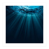 Nature (Print Only) thumbnail