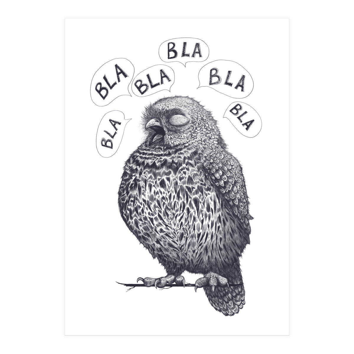 Owl Bla Bla Bla (Print Only)