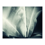botanical 1 (Print Only) thumbnail