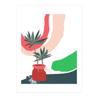 window sill plants (Print Only)