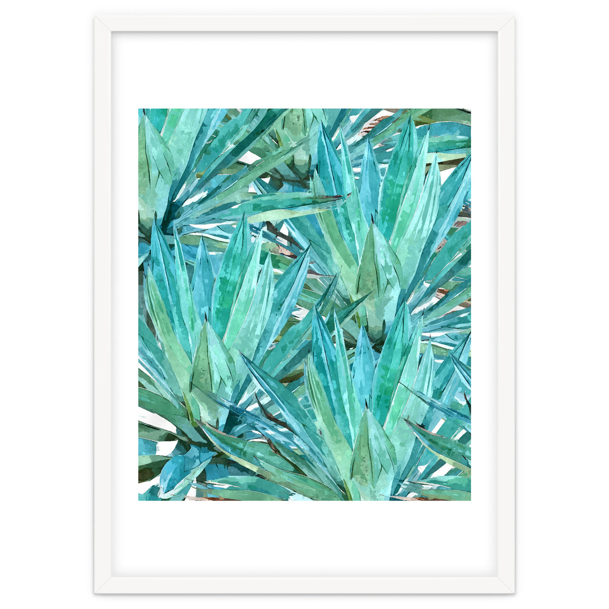 Agave