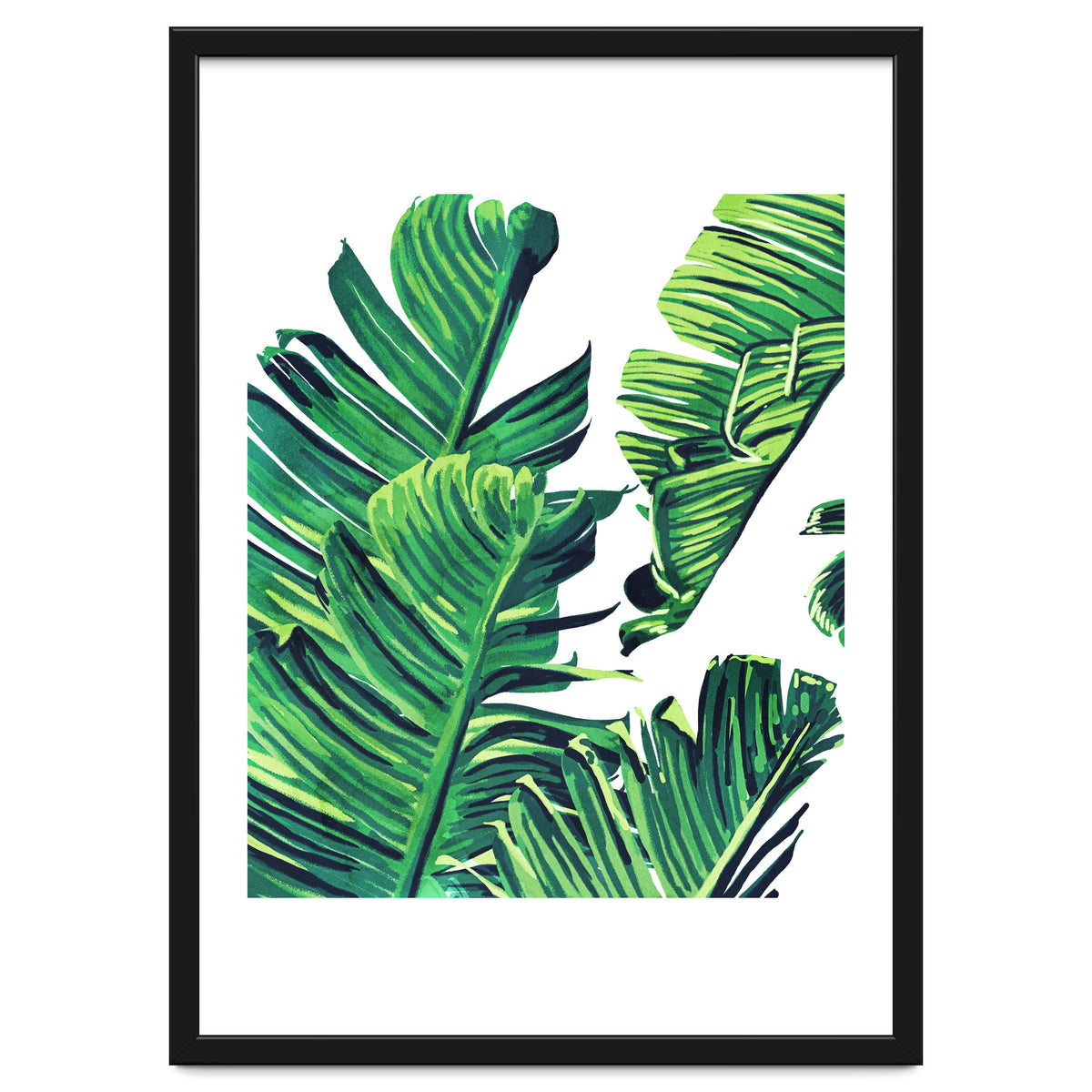 Banana Tree Leaves