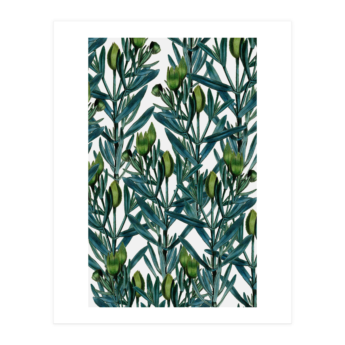 Floral Floral (Print Only)