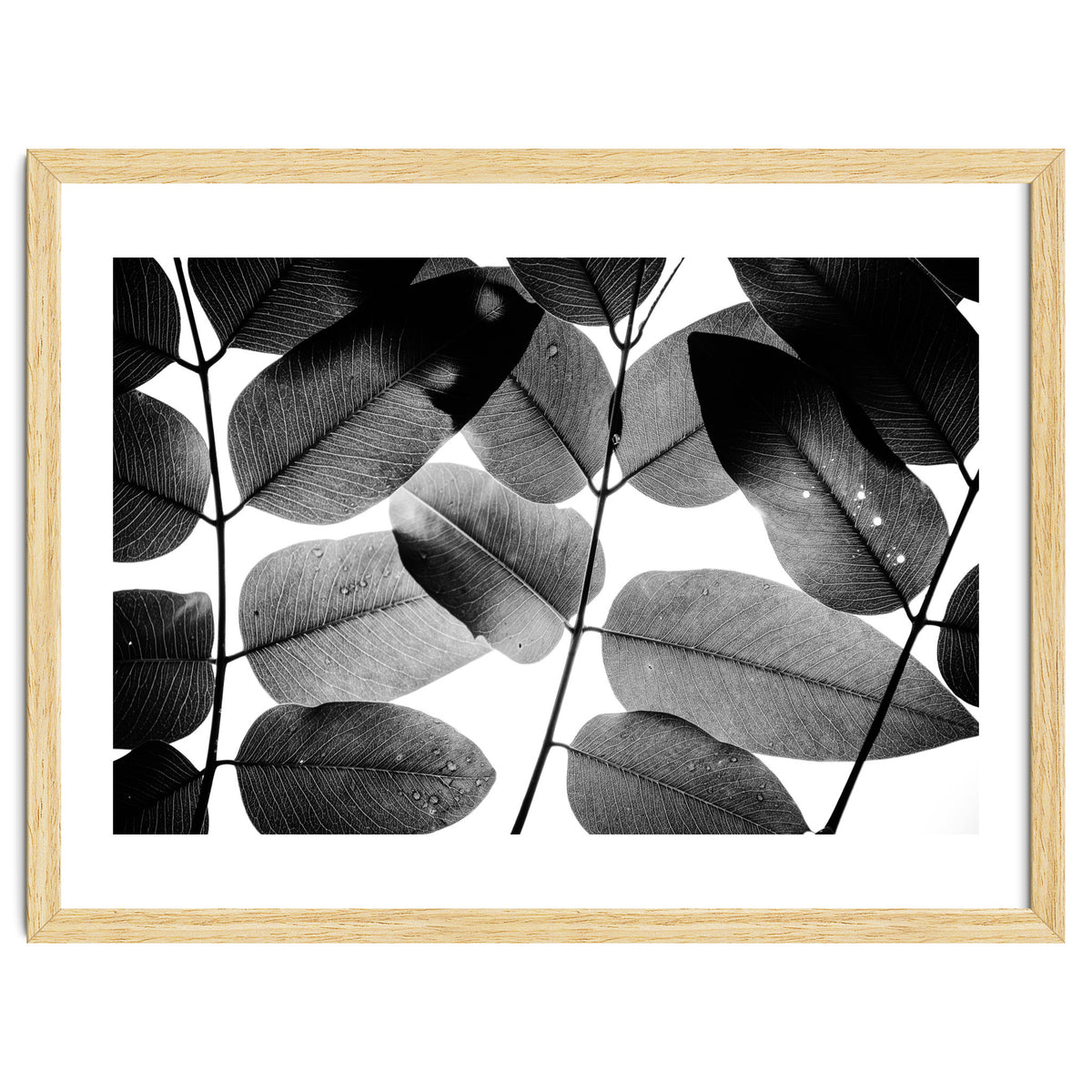 Experiments with Leaves II