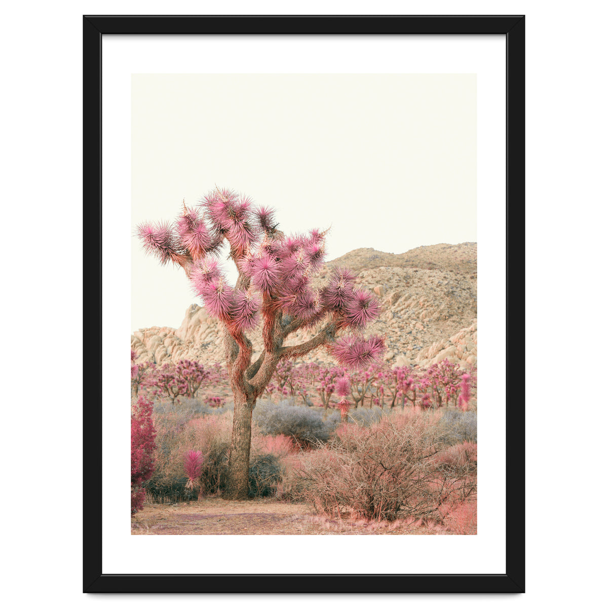 Boho Joshua Tree Cactus