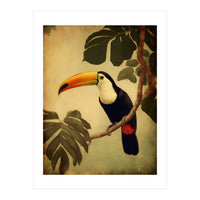 Toucan Vintage Jungle Painting (Print Only)