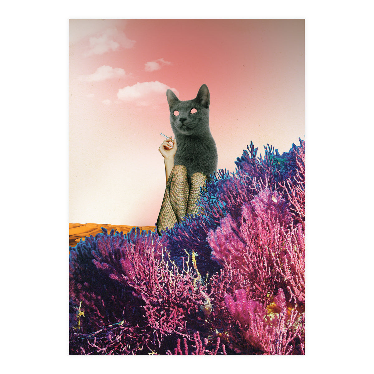 Atmosphere · The Funny Side (Print Only)