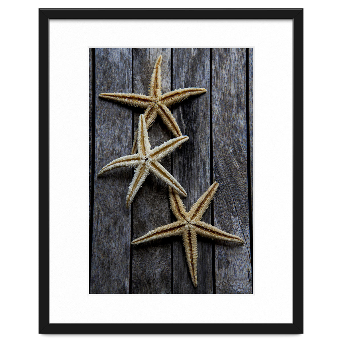 Starfishes in wooden