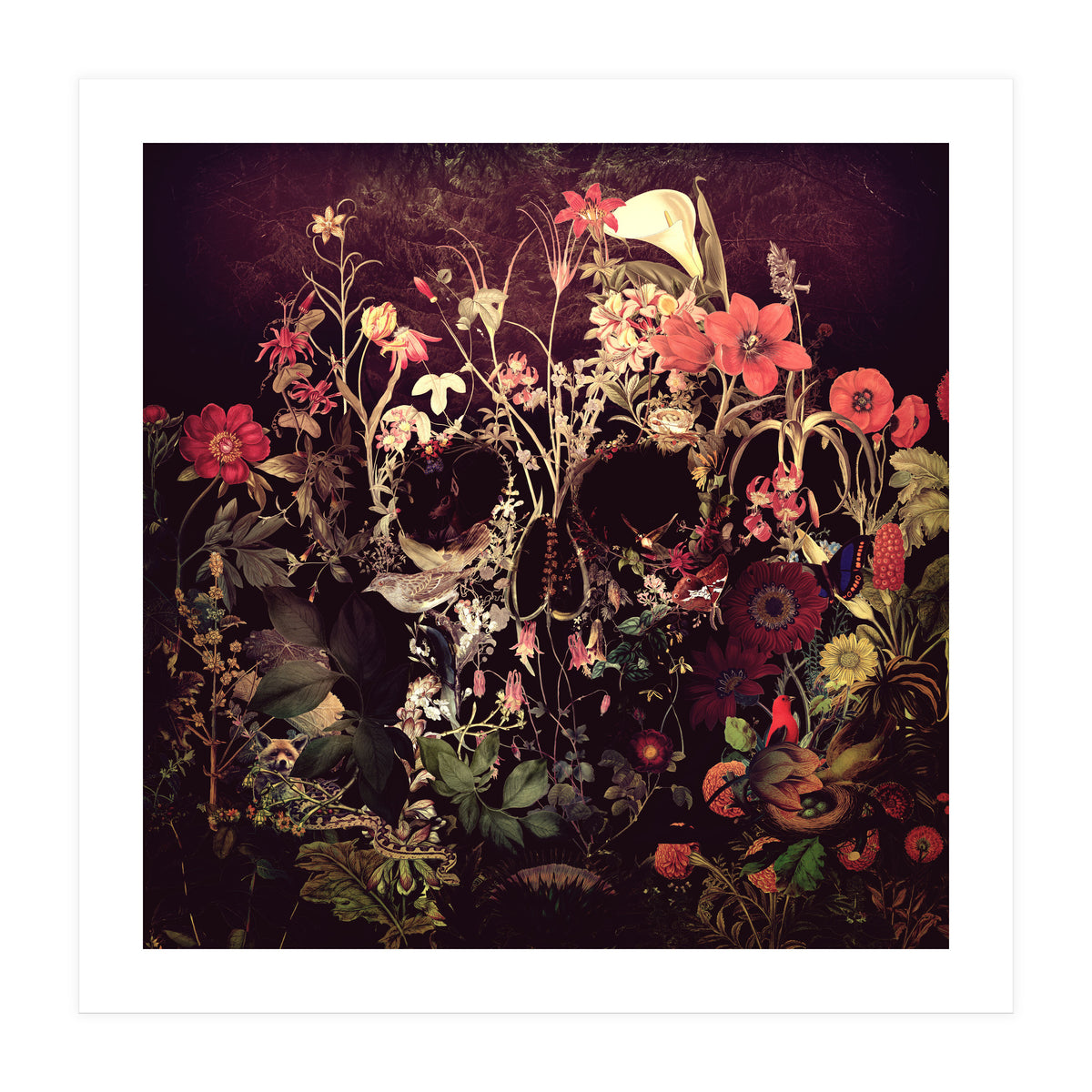 Bloom Skull (Print Only)