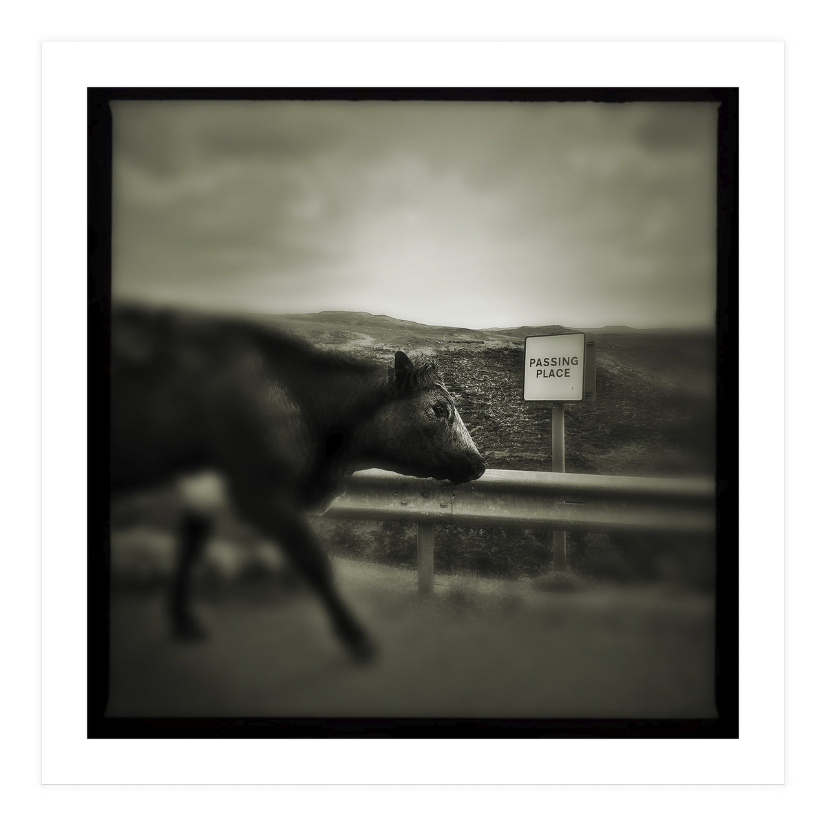 Struan Road (Print Only)