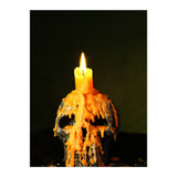 Skull  (Print Only) thumbnail