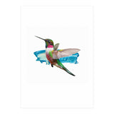 Modern Hummingbird II (Print Only) thumbnail